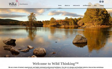 wildthinking.co.uk screenshot