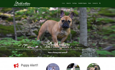 wildwillowfrenchies.com screenshot