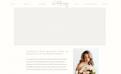 wildaisystudios.com screenshot