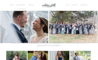 wilderstillphotography.com screenshot