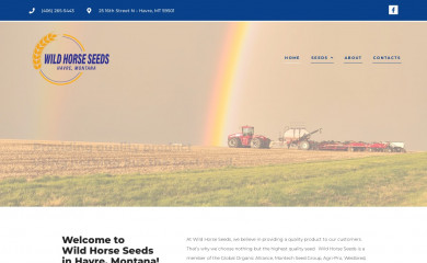 wildhorseseeds.com screenshot