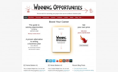 winning-opportunities.org screenshot