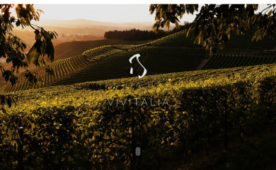 winestoryteller.sg screenshot