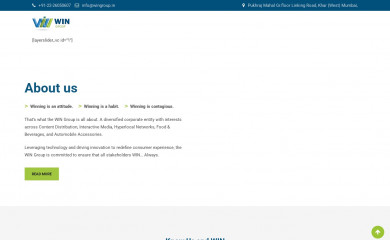 wingroup.in screenshot