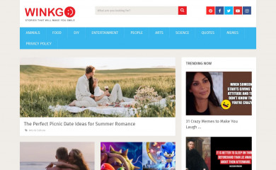 winkgo.com screenshot