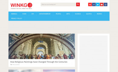 winkgo.com screenshot