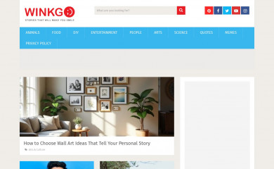 winkgo.com screenshot