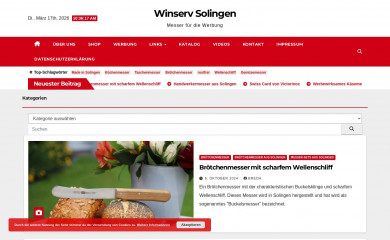 winserv-solingen.de screenshot
