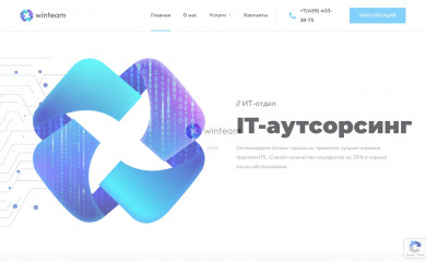 winteam.pro screenshot