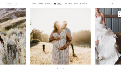 Wiso screenshot
