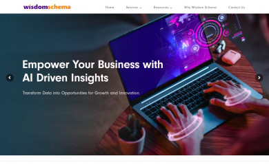 wisdomschema.com screenshot