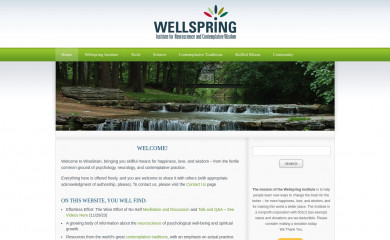 wisebrain.org screenshot