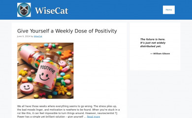 wisecat.com screenshot