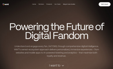 https://wmt.digital screenshot