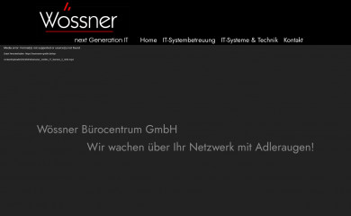 woessner-gmbh.de screenshot