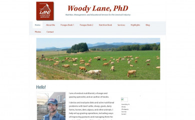 woodylane.com screenshot