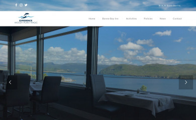 woodypointmagic.com screenshot