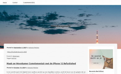 woodiesgouda.nl screenshot