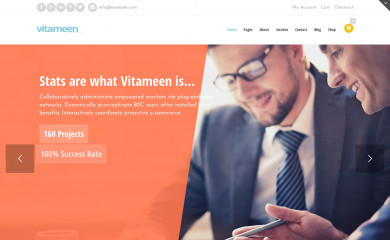 http://wordpress.tanshcreative.com/vitameen/ screenshot
