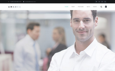 http://wordpress.vinagecko.net/t/amadea/ screenshot