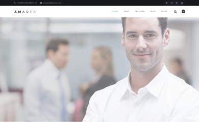 http://wordpress.vinagecko.net/t/amadea/ screenshot