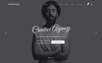 https://wordpress.dankov-themes.com/pheromone/ screenshot
