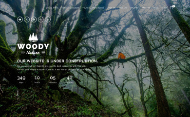 https://wordpress.mountainthemes.dev/woody screenshot