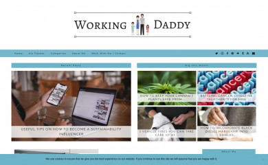 workingdaddy.co.uk screenshot