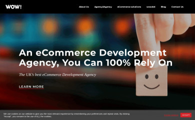 wow-group.co.uk screenshot