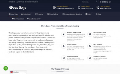 woysbags.com screenshot
