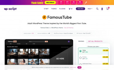 https://www.wp-script.com/adult-wordpress-themes/famoustube/ screenshot