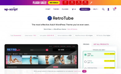 https://www.wp-script.com/adult-wordpress-themes/retrotube/ screenshot