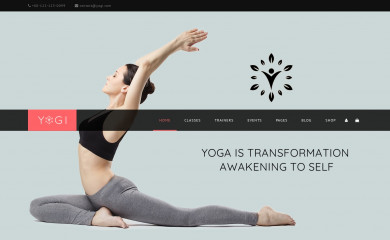 http://wp.nootheme.com/yogi/ screenshot