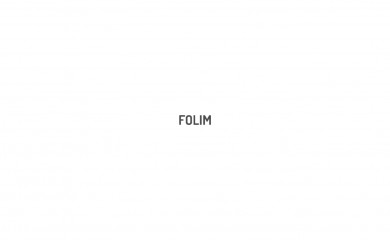 https://wp.vlthemes.me/folim/ screenshot