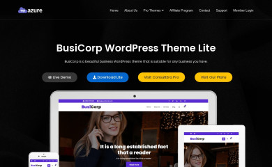 Busicorp screenshot
