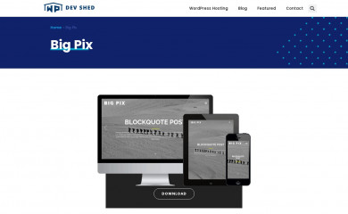 BIG PIX screenshot