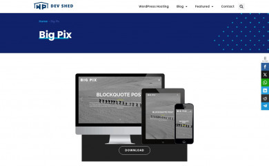 BIG PIX screenshot