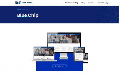 https://wpdevshed.com/themes/blue-chip/ screenshot