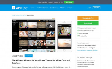 https://wpenjoy.com/themes/blackvideo screenshot