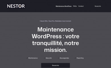 wpnestor.com screenshot