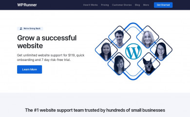 wprunner.com screenshot