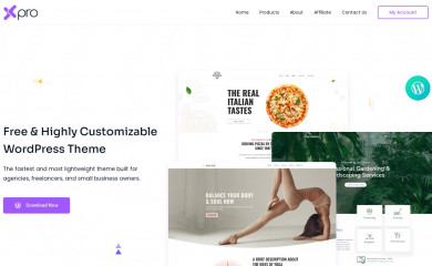 https://www.wpxpro.com/xpro-theme/ screenshot