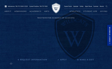 wsa.net screenshot
