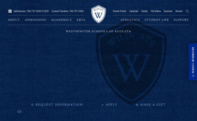 wsa.net screenshot