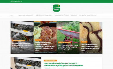wskazowkadnia.com screenshot