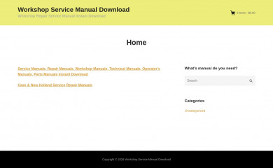 wsmanual.com screenshot