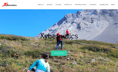 xybernetics.com screenshot