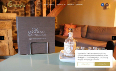 xenonasepavlis.gr screenshot