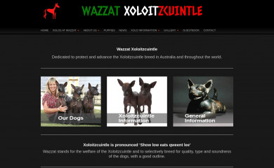 xoloaus.com screenshot