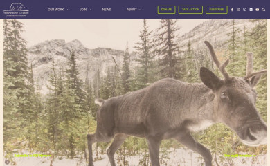 y2y.net screenshot